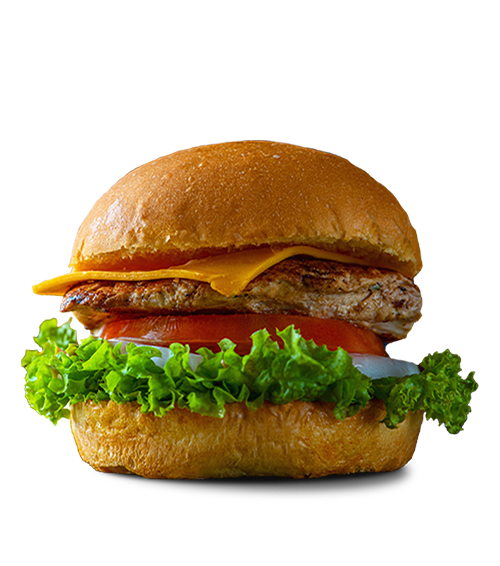 singleChickenBurger singleChickenBurger